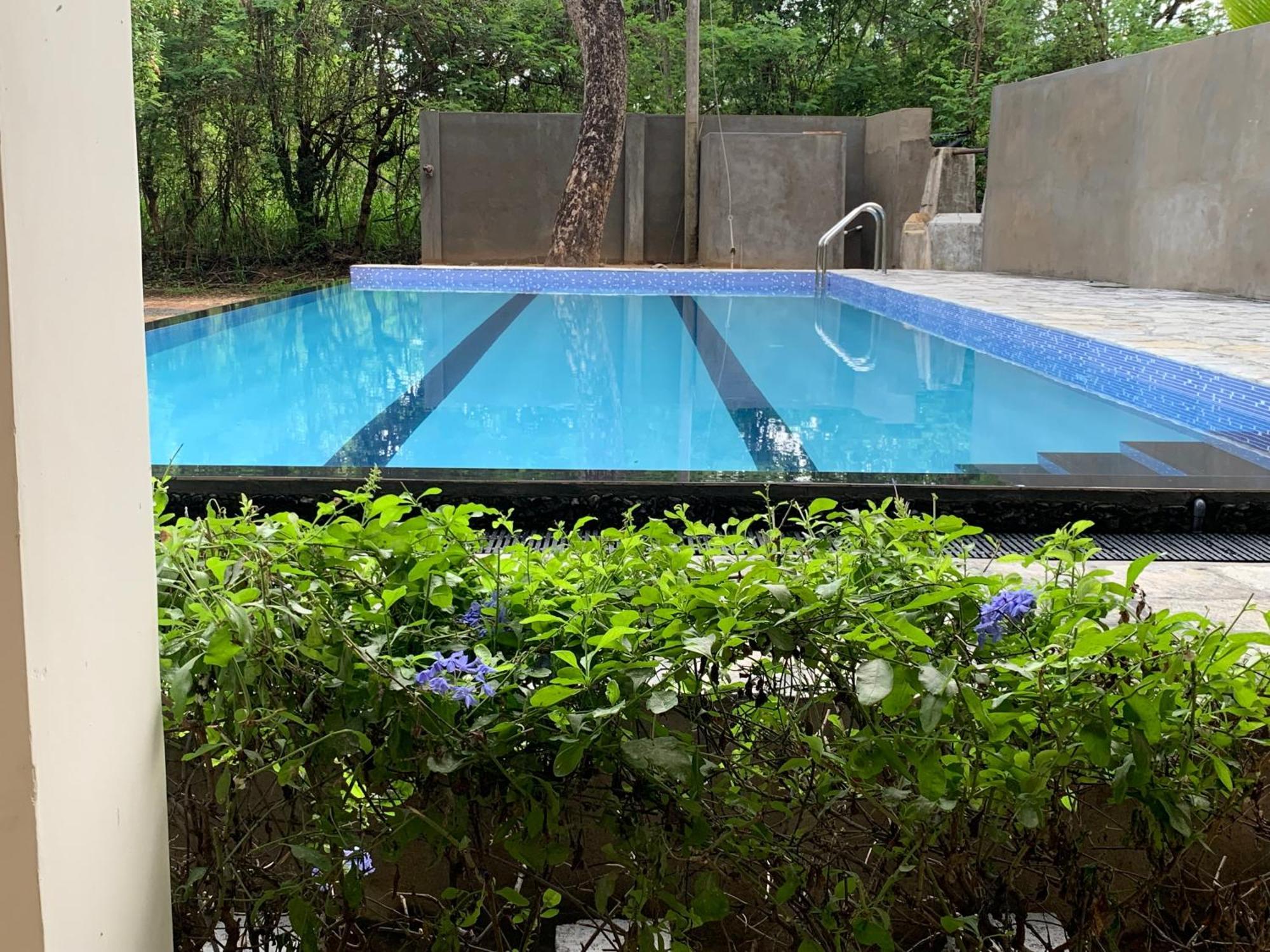 Hotel Sigiriya Rock Hide Zewnętrze zdjęcie