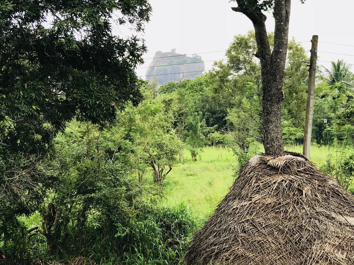 Hotel Sigiriya Rock Hide Zewnętrze zdjęcie