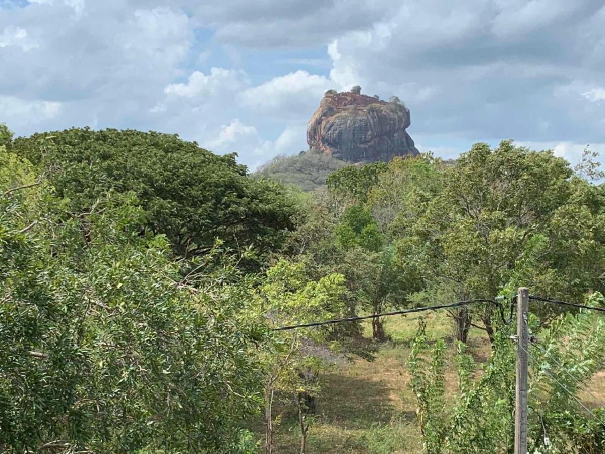 Hotel Sigiriya Rock Hide Zewnętrze zdjęcie