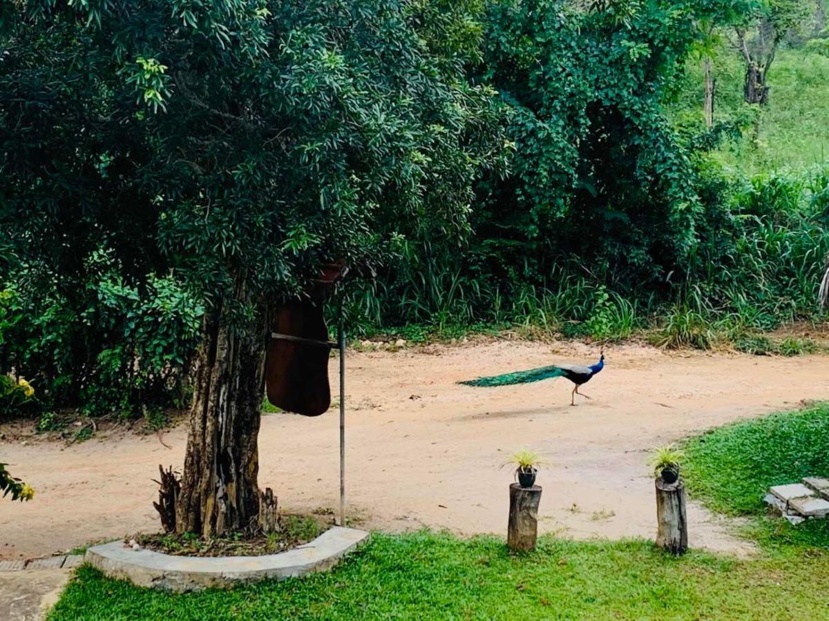 Hotel Sigiriya Rock Hide Zewnętrze zdjęcie