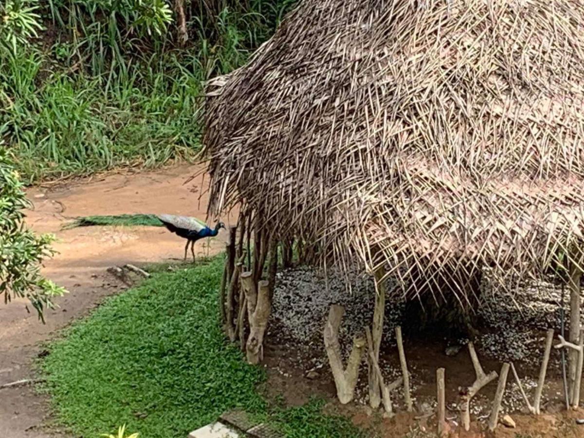 Hotel Sigiriya Rock Hide Zewnętrze zdjęcie